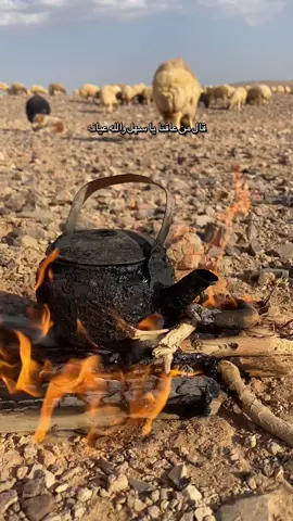 ماشاءالله #تصويري #اللهم_صلي_على_نبينا_محمد 