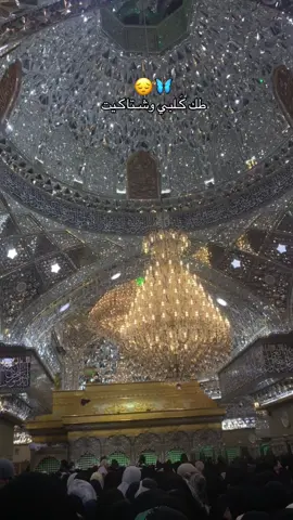وينه اليزور حسين عني بالنيابه😔🦋#بين_الحرمين_كربلاء_المقدسه #الامام_الحسن_عليه_السلام #الامام_العباس_عليه_السلام🍂 #الشعب_الصيني_ماله_حل😂😂 