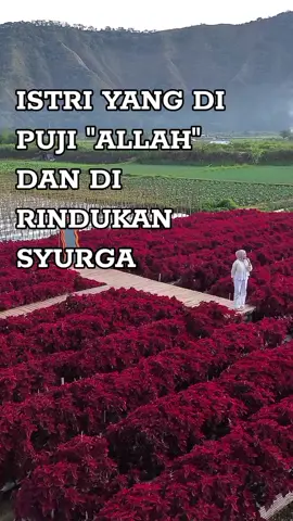 UG. VT-1121 #ustadzgaul #jejakrasulullah💥 #fypシ゚ #fyp #fyppppppppppppppppppppppp 