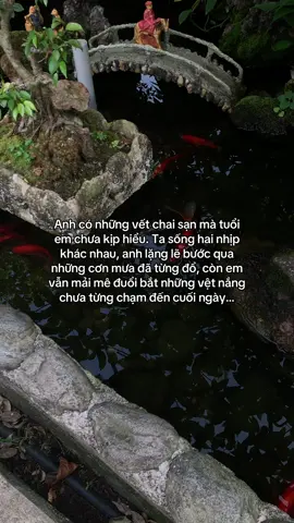 …#tamtrang #story 