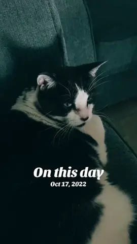 #onthisday 