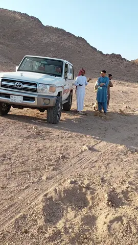 #الوز #الزيته #هشتاقاتي_الترند_المشهور 