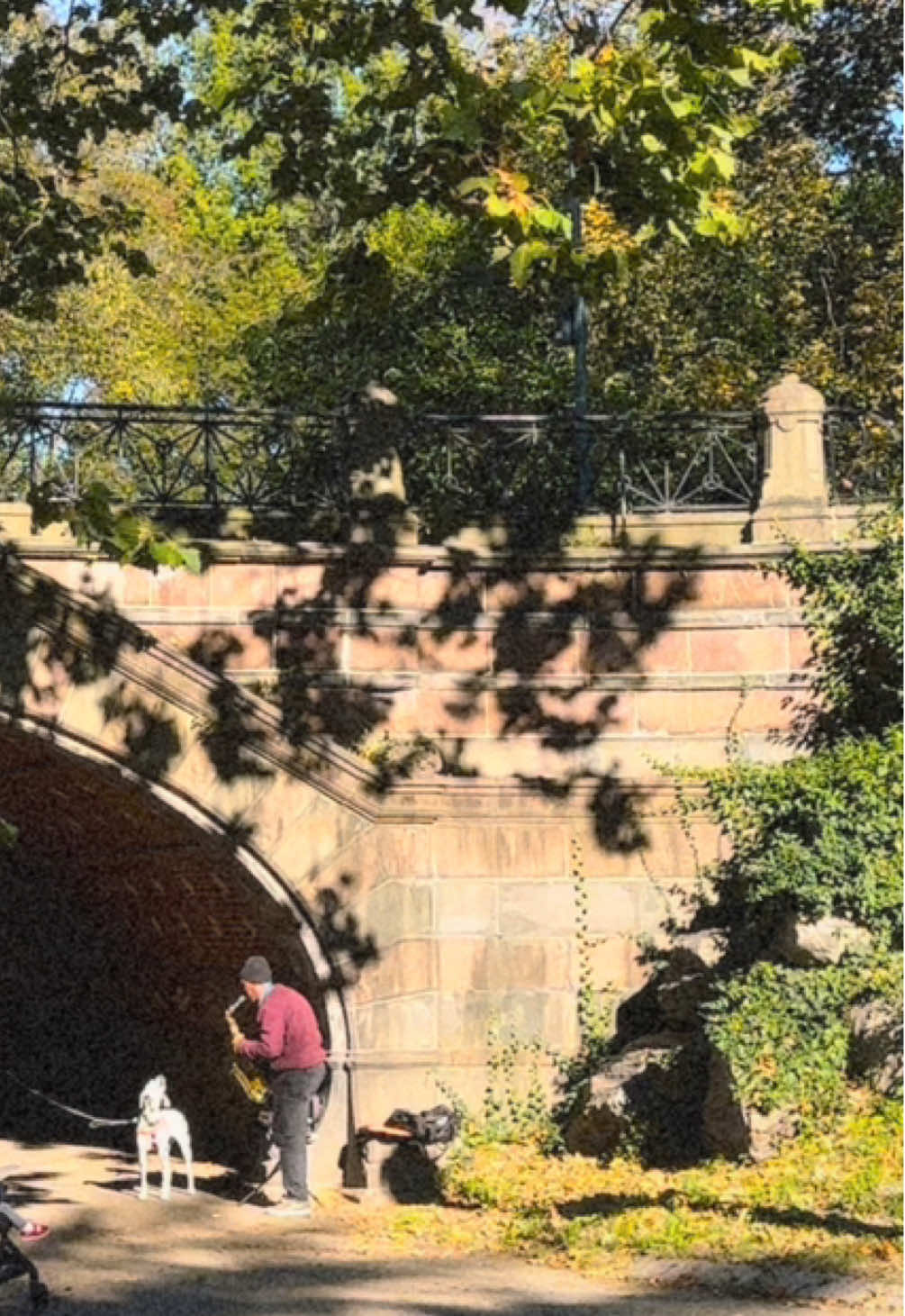 the cutest duo 🐾🎷 #nyc #ny #centralpark #newyork #newyorkcity  *if you know these two musicians, please tag them 🥰