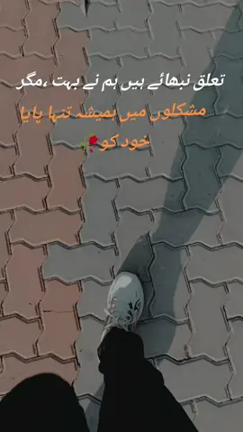 MUST #fyppppppppppppppppppppppp #university#must#multan#dangerouspoetry 