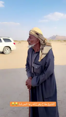 #اكسبلور 