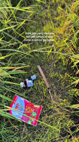 anak sekecil ini bersaing dengan para juragan kelas kakap#petaniindonesia🇮🇩🇮🇩🇮🇩🌿🌿 #petanimilenial #gabahbalap🌾 #argiculture #promoseruweekend 