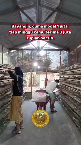 Dari 1 juta, mulailah langkah menuju kemandirian ekonomi! Bersama Kemitraan Puyuh Petelur Mandiri, kamu tidak hanya berinvestasi — kamu membangun masa depan. 🥚 Setiap telur adalah peluang. 💪 Setiap kemitraan adalah keberhasilan bersama. #bisnis #bisnismillenial #bisnisanakmuda #bisnismudah  #cuan #cuantanpabatas #cuantiktok #kerjakeras #kerjakeras #kerjacerdas #kerjaonline #inspirasi #inspirasiusaha #bisnissukses #foryoupage #for #fyppppppppppppppppppppppp #fypシ #fypage #zbyzca #peternakmuda 