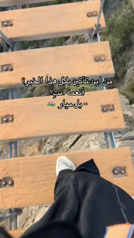 الترند جمييل 