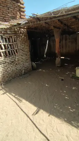 #ربنا_يصلح_حال_البلد🇸🇩🇸🇩🇸🇩السودان  #جنقو_مسامير_الأرض🇸🇩🇸🇸 #شعب_الصيني_ماله_حل😂😂 