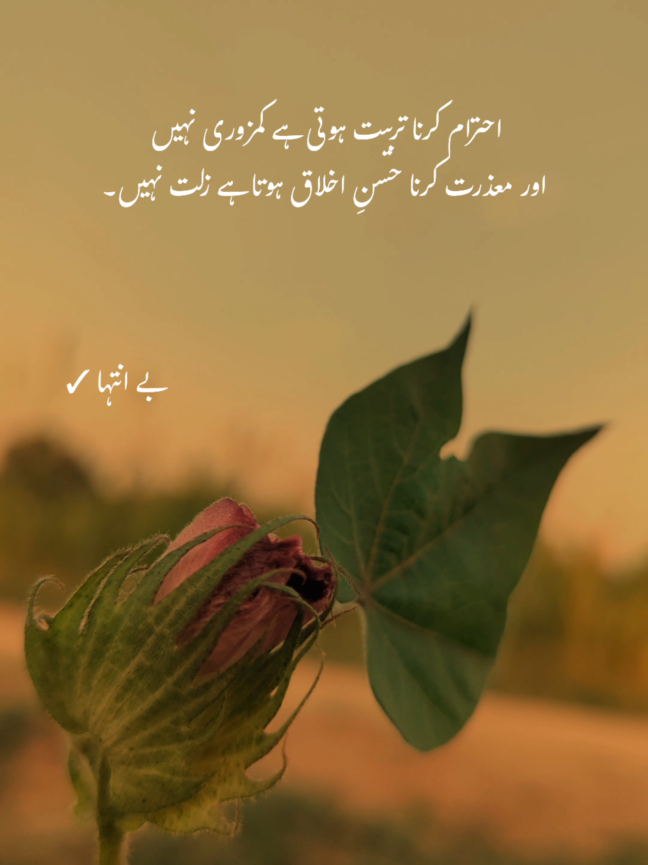 Deep words ❤️‍🩹 #1millionaudition #asthetic #poetrystatus #foryou #fypp 