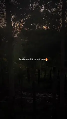 #คติเตือนใจ #ฝากไว้ให้คิด 
