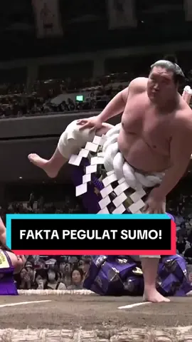Fakta random tentang pegulat Sumo ! #yokozuna #sumo #sumowrestling #pegulat #faktaunik 