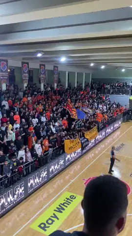 Homenetmen 🧡🧡🧡#homenetmen #basketball #flb #
