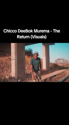 Chicco DeeBok Murema-The Return  #chicco #oviritje #Omurari #amapianodancechallenge #hererotiktok 