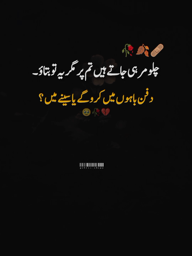 #viewsproblem 🥀#saidpoetry #urdupoetry #gehrii_chupp8 #unfrezzmyaccount 