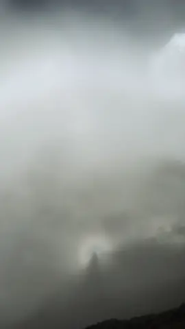 🖤#nature #lowkey77 #relatable 