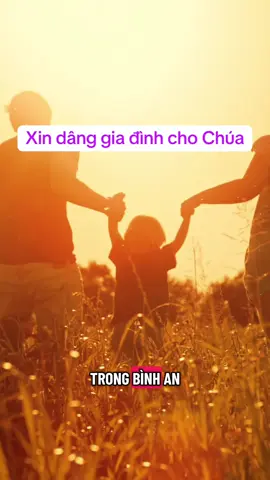 Xin gìn giữ cha mẹ con trong bình an, Xin cho vợ chồng con biết kiên nhẫn, biết yêu thương nhau dù có những ngày mệt mỏi.#caunguyen #giadinh #binhan #tinhyeu #conggiao 