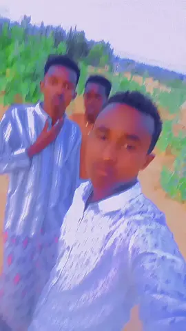 #zxbyaal qaaliya guulesta 