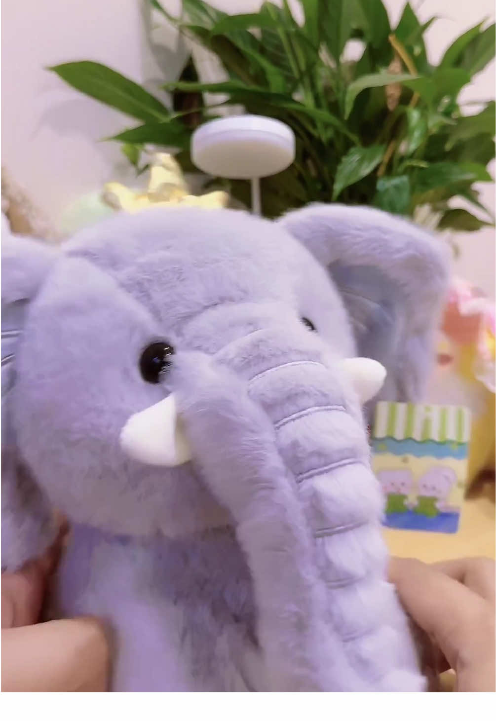 #gaubongvoi #plushies #gaubong #xuhuong #fyp 