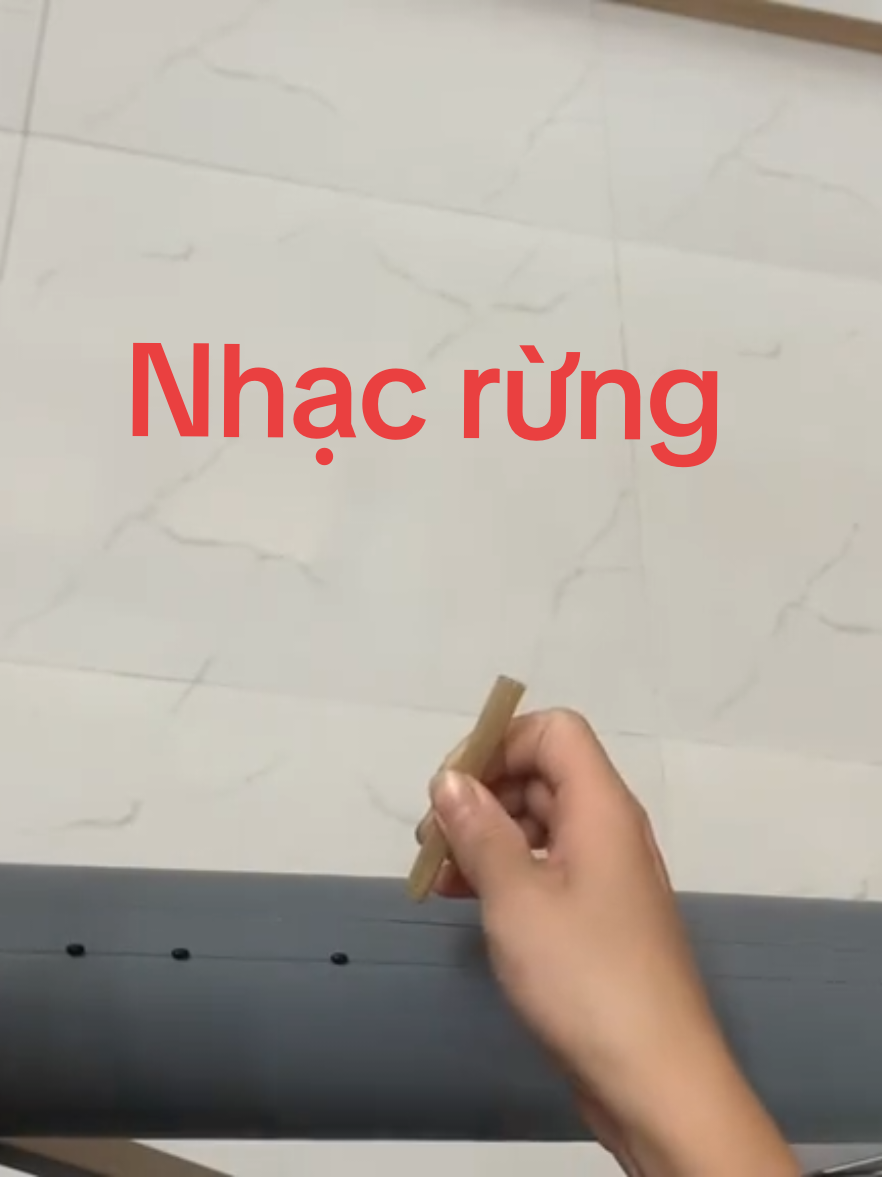 #nhacrung#danbau 