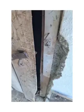 مخصوصا پسرونه😂😂 #😂😂😂 #فوریو #فوریو_پاشم_بیام_جرت_بدم 