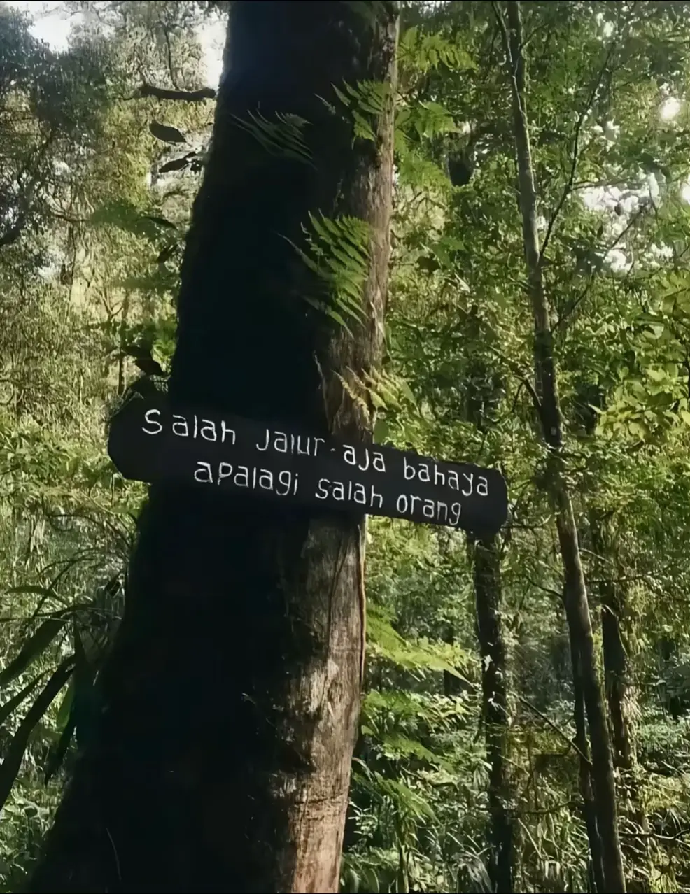 tidur dulu ngantuk #gunungmerbabu #merbabumountain #pendakifomo #pendakicantik #fyppppppppppppppppppppppp 