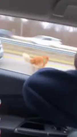 He knew what he was doing 