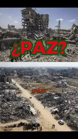 ¿Es esto paz? #viral #gaza #palestina #israel #justiciaparapalestina 