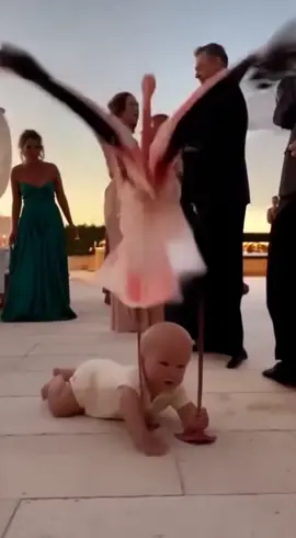 🦩Luxusparty? Check. Tierdrama? Check. Fliegendes Baby? Check. 💒