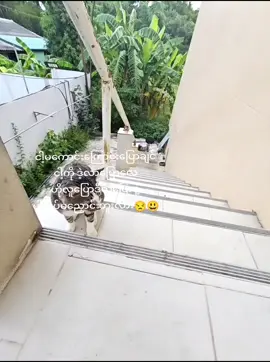 #🇹🇭🇹🇭🇹🇭 #ရောက်စမ်းfypပေါ် #creatorsearchinsights #viral #🙃🙃 #