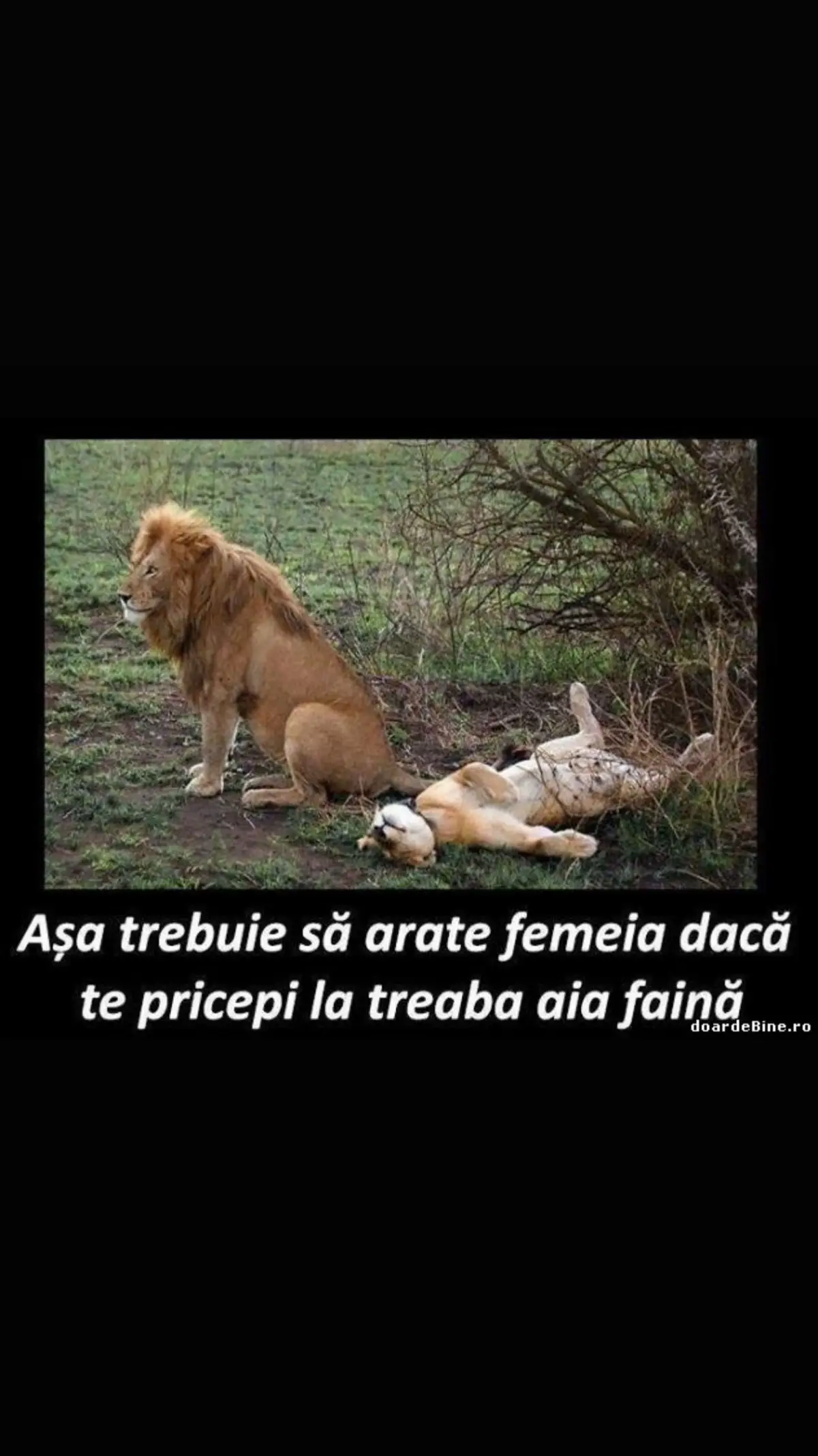 #f 