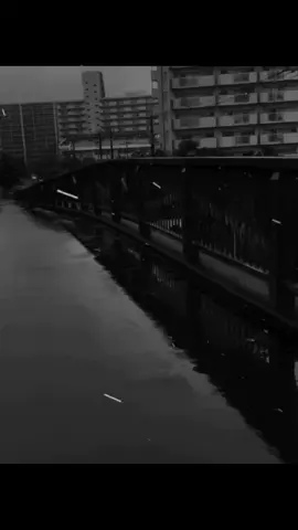 🖤⚜️ 