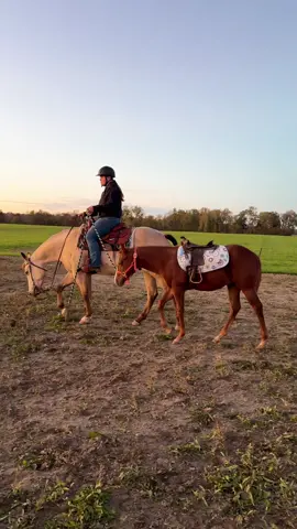 Just @Jolene riding #Taz with little brother in tow, learning the ropes. 🧡🥹😭  #futurechampion #brothers #horsetraining #Harvey 