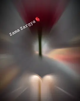#CapCut #𝙼𝚢 𝚓𝚊𝚗 S🫀#💕💕❤❤❤😘😍💘🥀🥀 #💕💕❤❤❤😘😍💘🥀🥀 #💕💕❤❤❤😘😍💘🥀🥀 @🫶𝓚𝓐𝓛𝓔𝓔𝓜 𝓤𝓛𝓛𝓐𝓗🫶 @It’s Broken💔 @Cute Girl 😍 