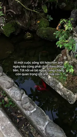 …#tamtrang #story 