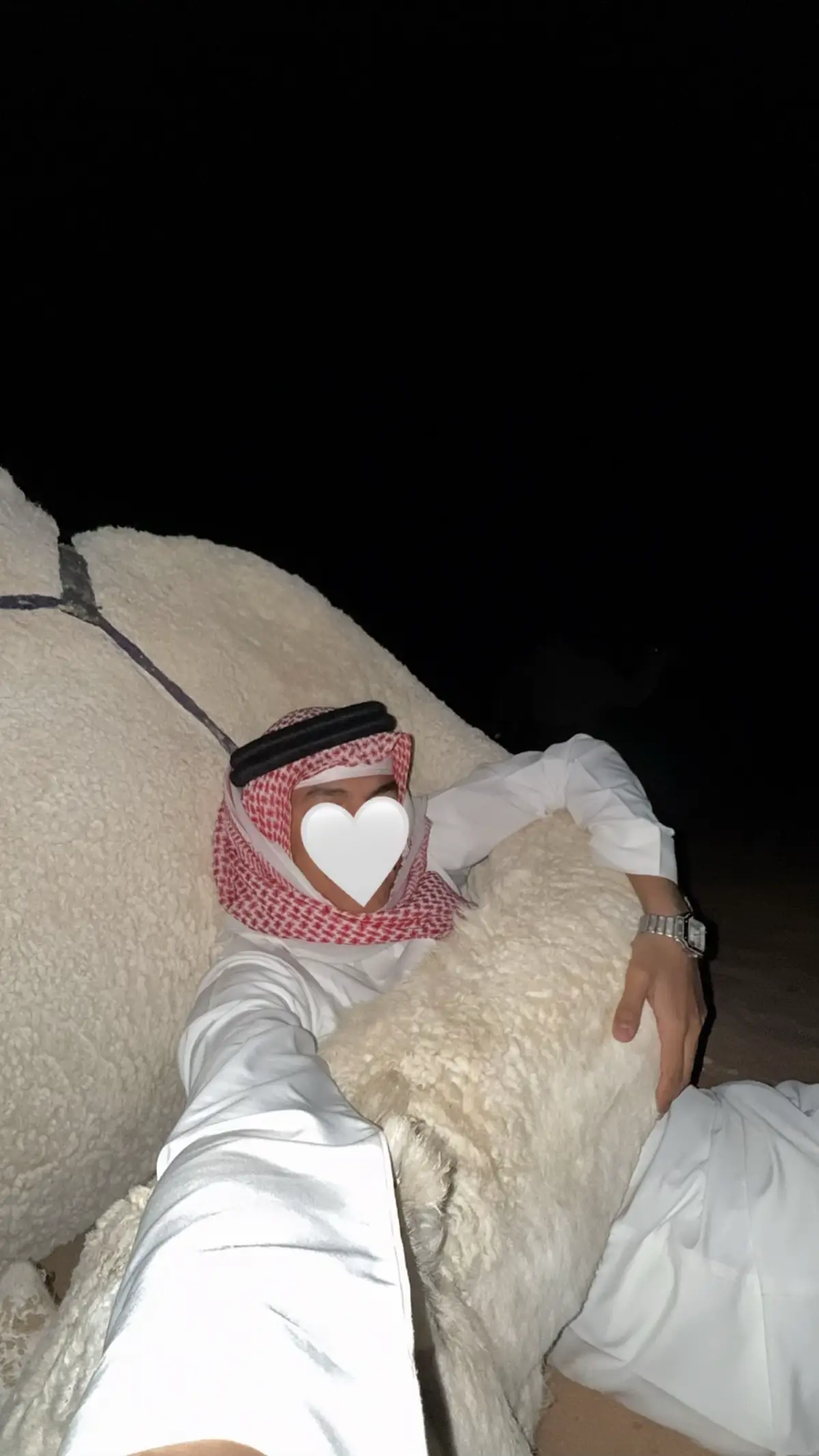 #اكسبلورexplore #الرياض #النشيرا🇶🇦 #ترندات_تيك_توك #البل 