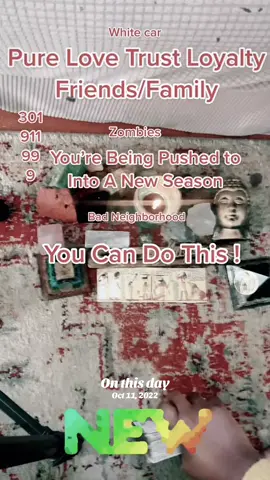 #onthisday #tarot #tarotcardsreading #tarotcards #shaiwilde 