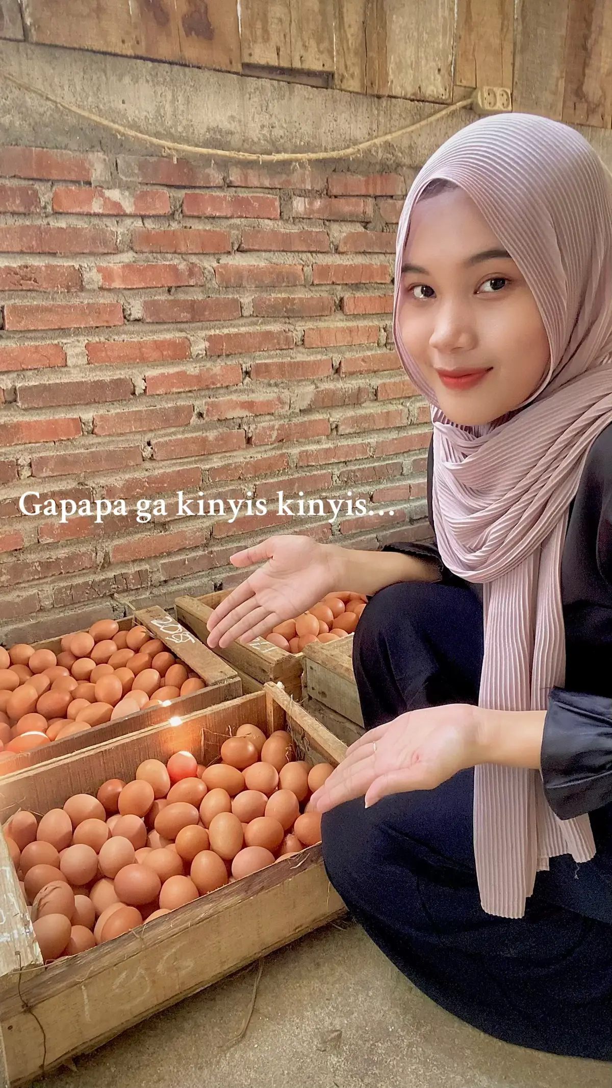 Yang penting telurnya kinyis kinyis 😍🫶🏻🫶🏻 #ternakayam #ternakayampetelur #peternakayam #peternakayampetelur #peternakanayampetelur 