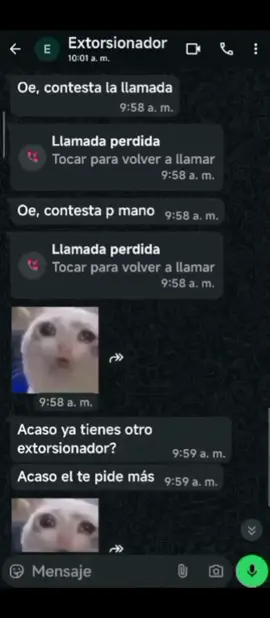 #nocontestar#dinaboluarte #humor #fyp  #rafa 