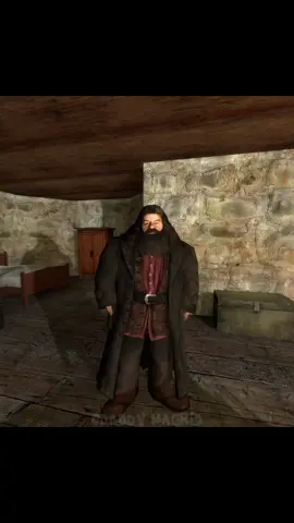 Hermione or Hermyknee? #harrypotter #kneesurgery #hermionegranger #harrypottermemes #daddyhagrid 