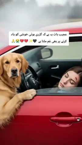 #standwithkashmir #tiktokpakistan #coronavirus #burhantv #multanimunda 