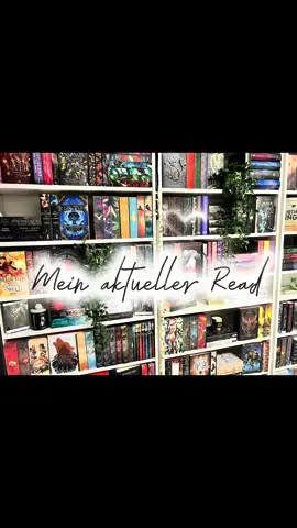 Die Liebe @Isa Bella ☀️📚 hat mich nach meinem aktuellen Read gefragt. Ich lese gerade 2 Bücher. Hier sind sie. 🥰✨  Was ist euer aktueller Lesestoff? 📚✨❤️ @_laura_blueeyes @PlüschMors 📚🤍 @ines🧸🎀|| booktok @Linn ⚡️📚💞 @Jara Singer 📚 Autorin ✍️ @Josi | BookTok 🐧✨️ @Loreenlena | Bookdragon📚  #booktokgermany #BookTokChallenge #currentread #bookish #booktokfyp 