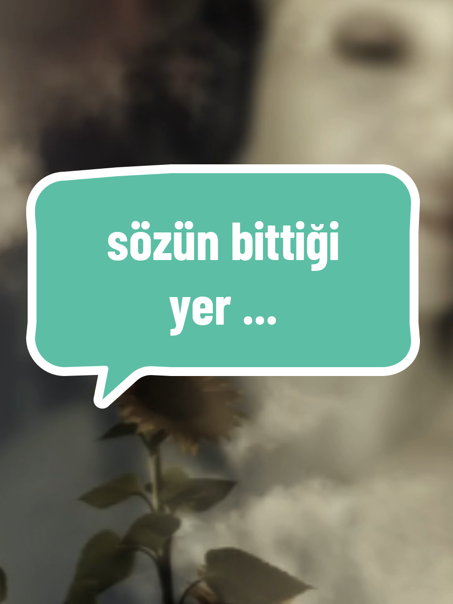 Namlunun ucundaki Sevda  Safiye samyeli rüya güneş  şiir  @Safiye Samyeli...Safiye Sultan #fyp #şiirdinle #viralvideo #tiktokviral 