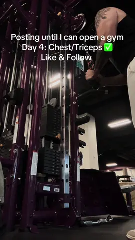 Follow the journey. Posting until I can open a gym. Day 4: Chest/Triceps ✅. #Fitness #workout #GymTok #FitTok #motivation 