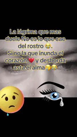 #fyp #viralvideo #cancion #dimelo #lostemerarios 