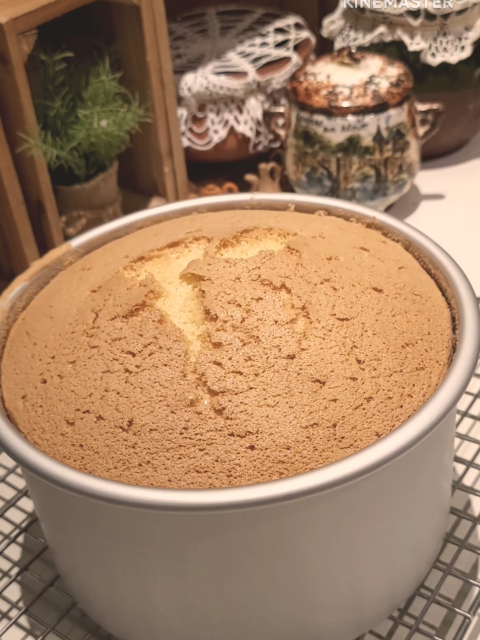 #كيك #فطائرقطنية #اكــسبلور #العراق_بغداد #بلجيكا🇧🇪_بروكسيل_المانيا_فرنسا_هولندا 