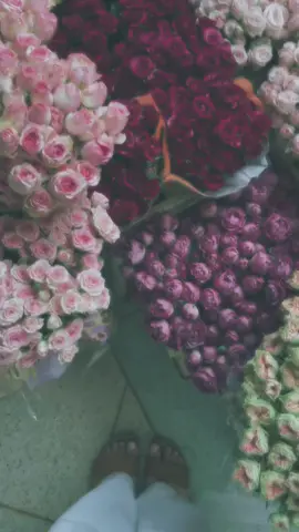 وغلاوتك🤍 .  #ورد #ورده #الورد #احبك #🤍 