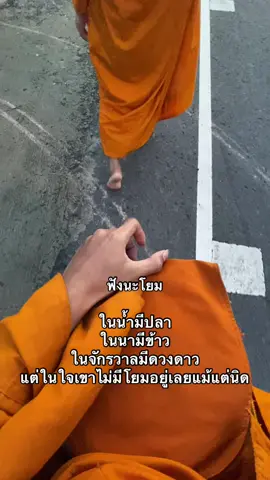 #แชร์ลงสตอรี่ได้น่ะ #ฟีดดดシ #ลงสตรอรี่ได้ #หลวงพี่ #วัดบ้านเขือง เขาไม่มีโยมอยู่ในใจเลย🤭🙏😇🤍