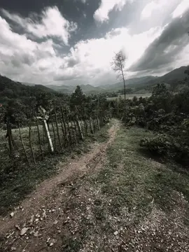 “一点黄色的阳光造不成夏天，一点奇怪的爱也无法留住一个人…!