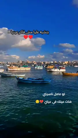 بتشبه عليا مش فاكر عينيا !! ♥️♥️ #رضاالبحراوي #Explore #تصميم_فيديوهات🎶🎤🎬 #fyp #loveyou 